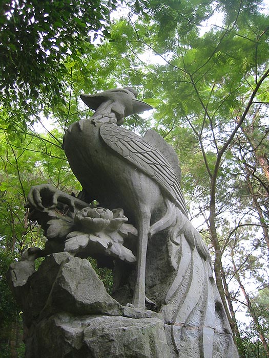 Fenghuang 封面