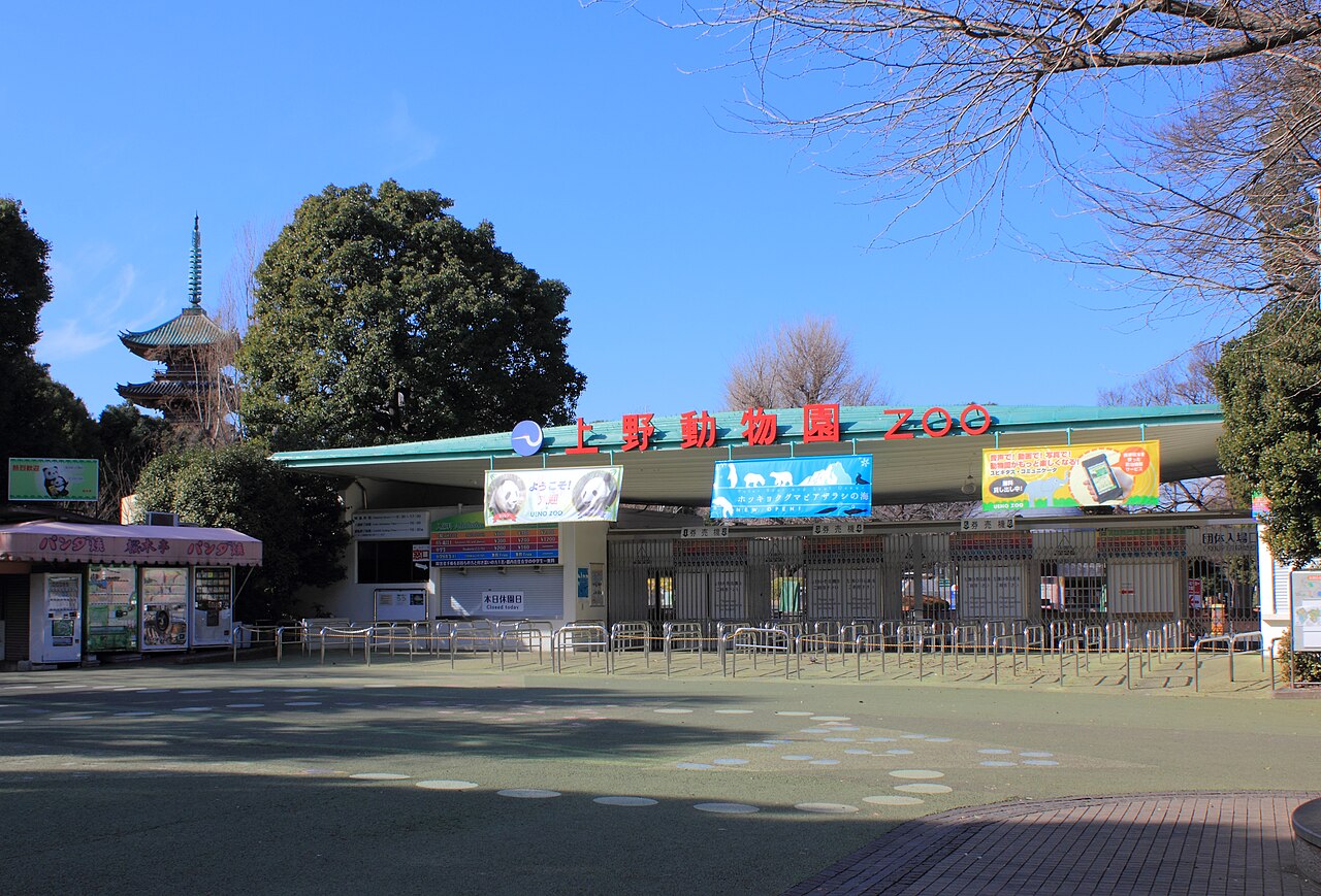Tokyo 封面