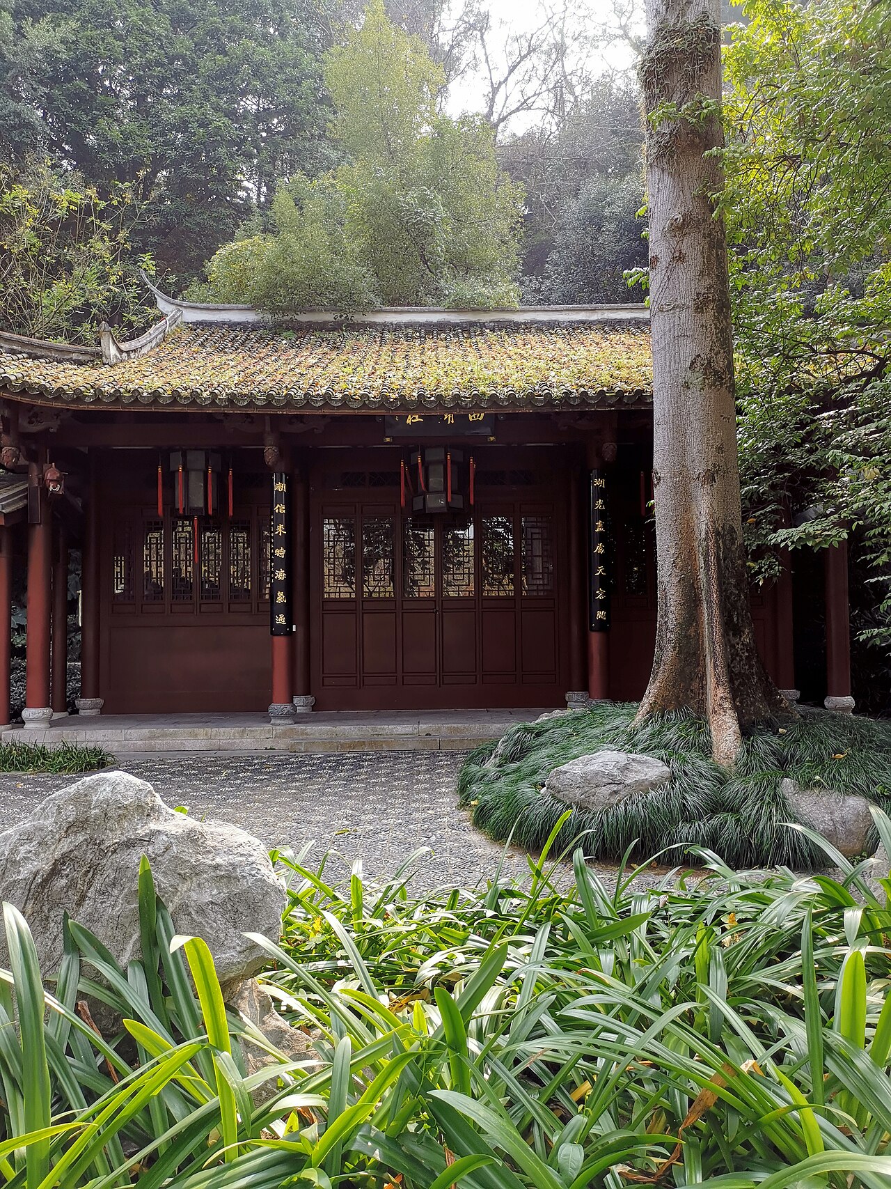 Fuzhou 封面