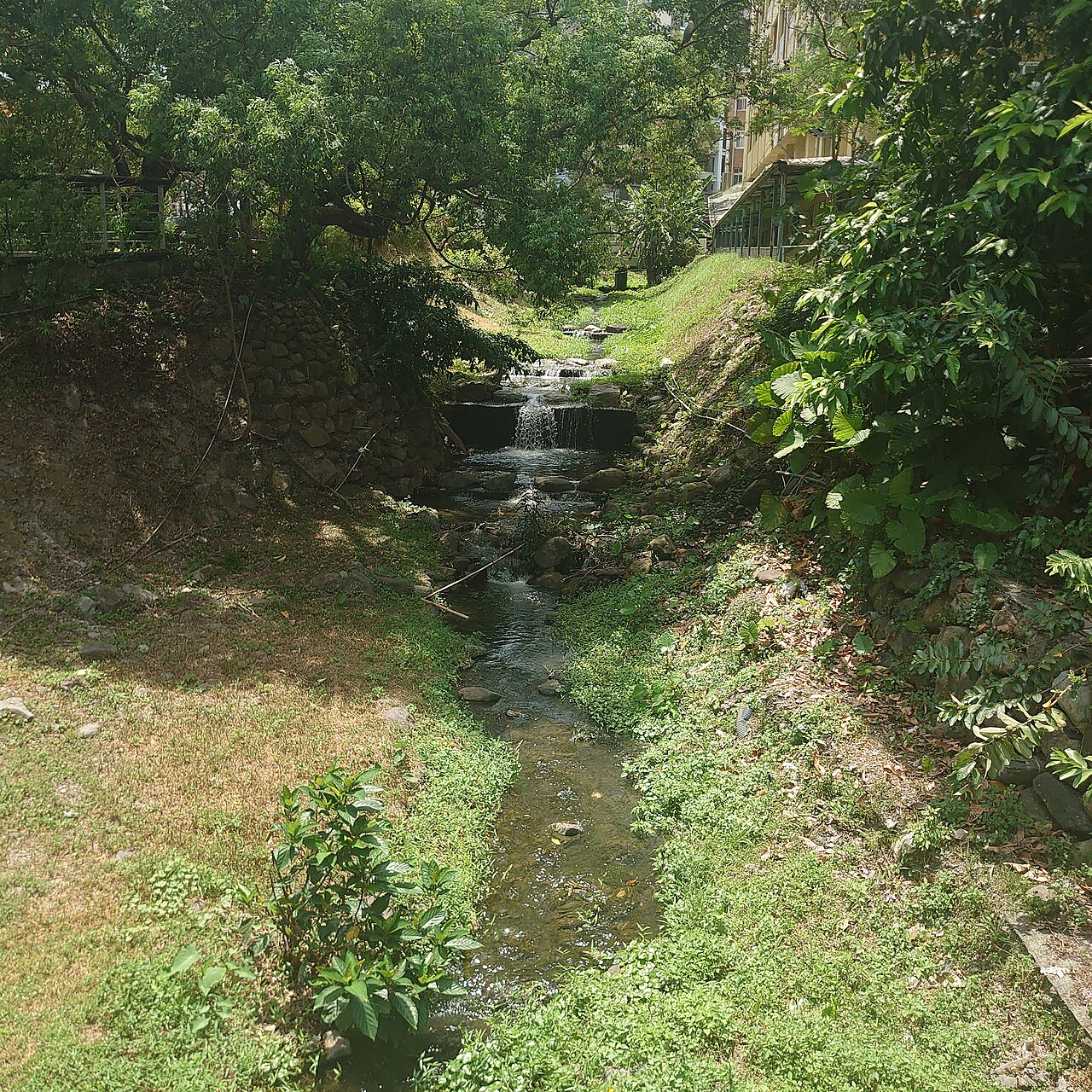 Yilan 封面