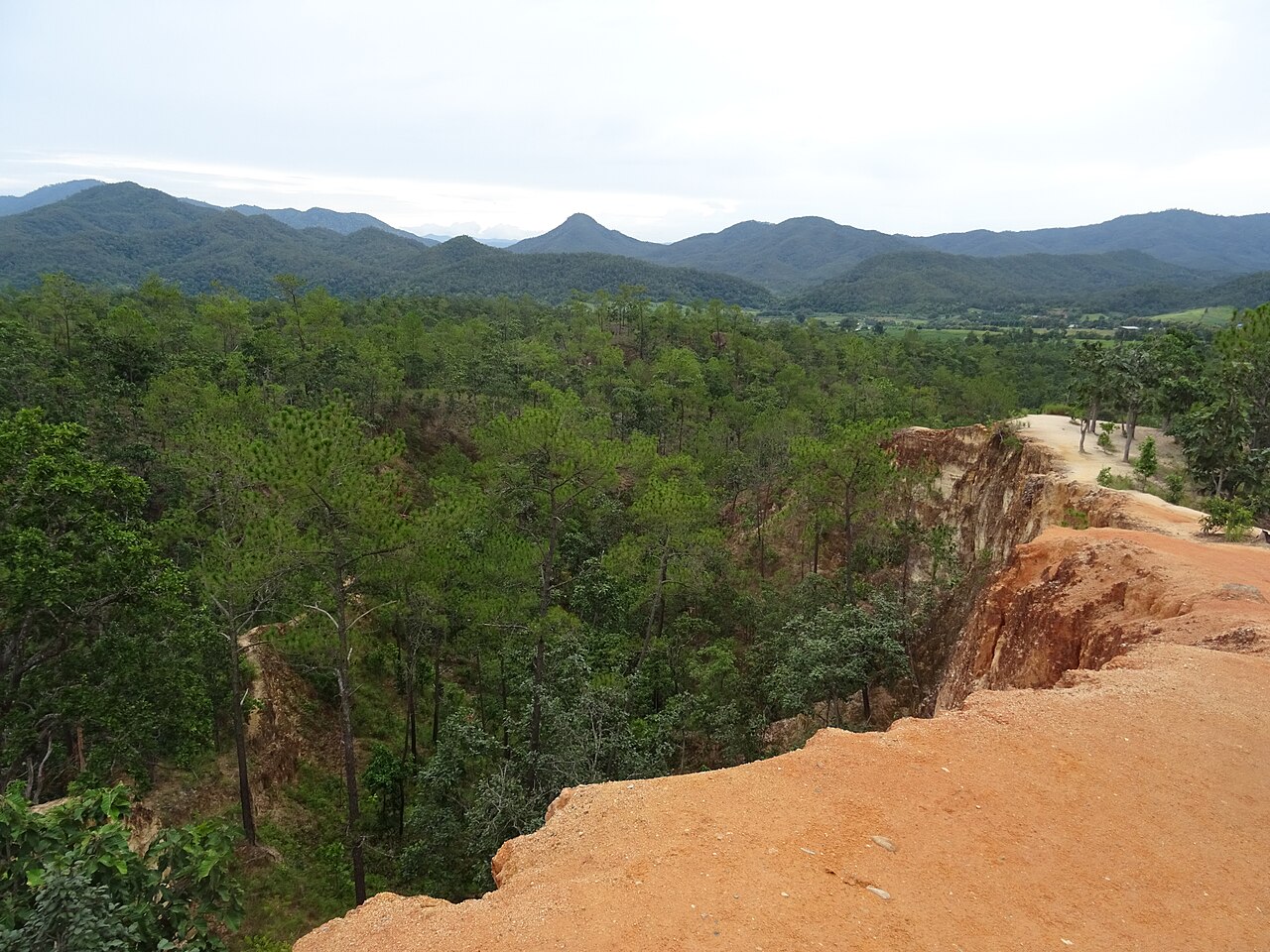 Pai 封面