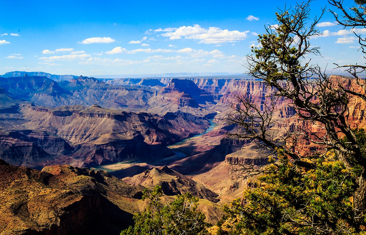 Grand Canyon 封面