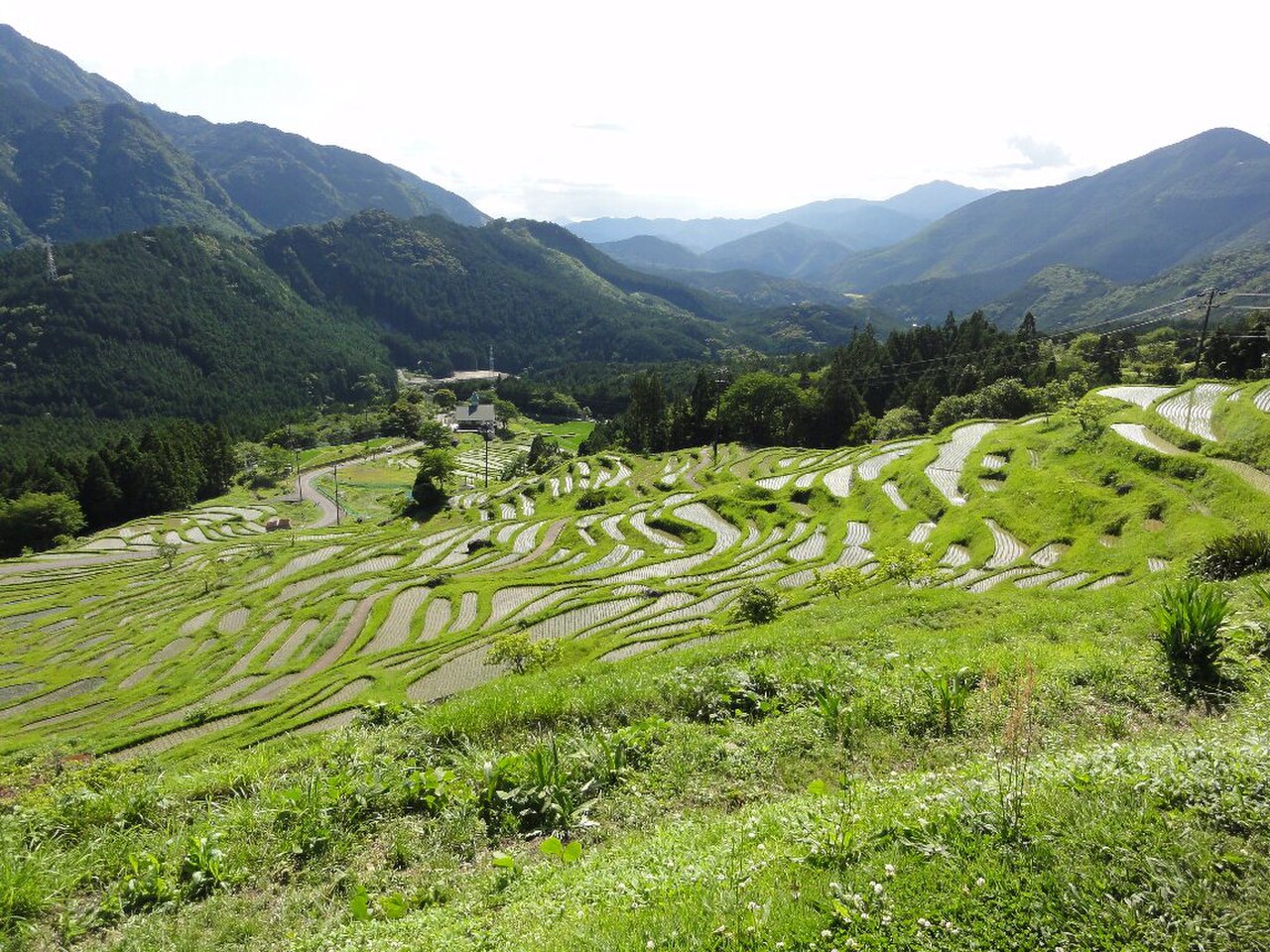 Kumano 封面