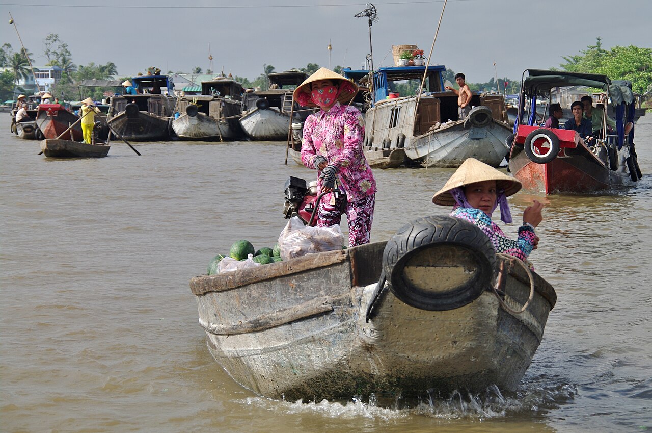 Mekong Delta 封面