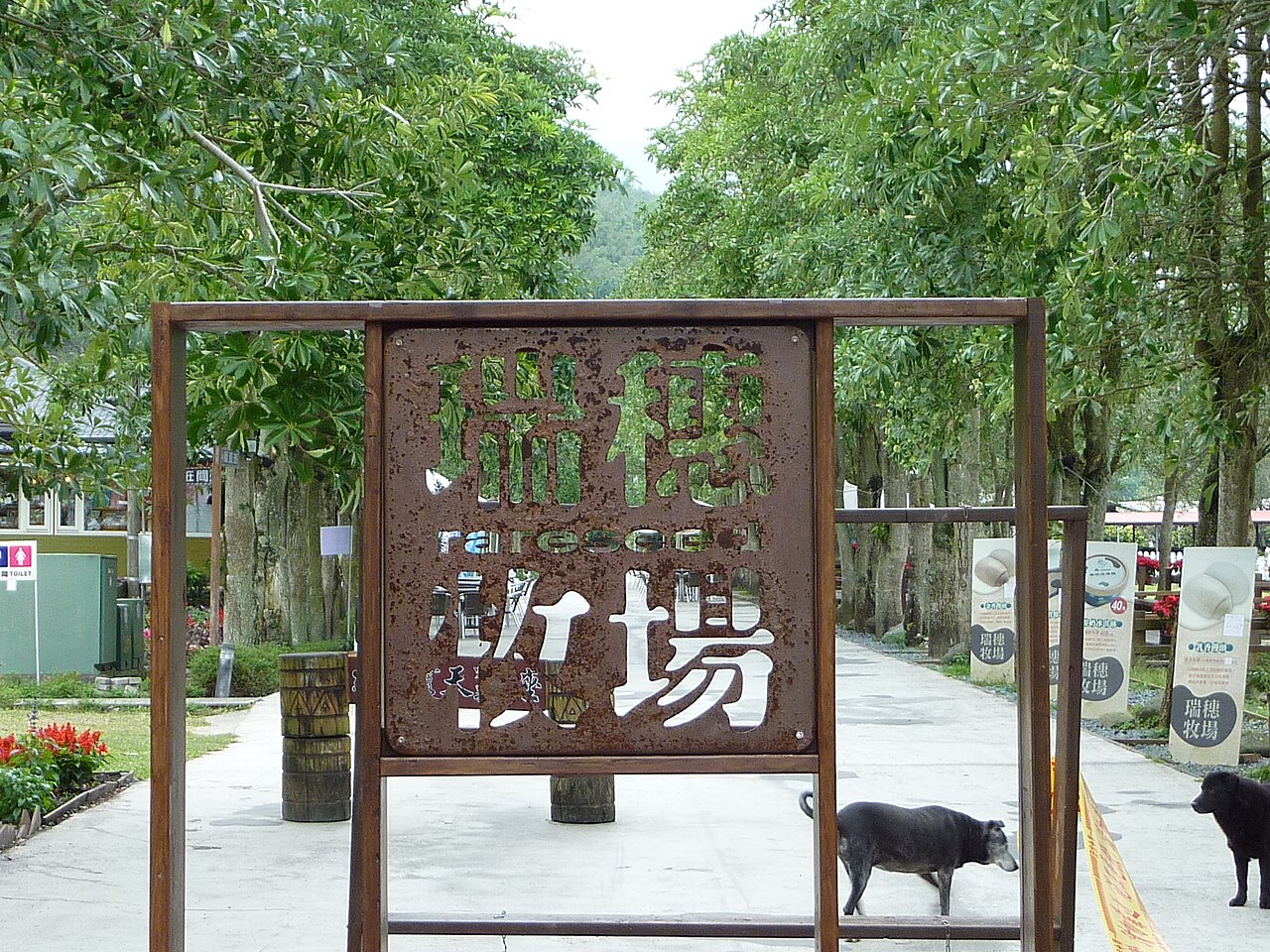 Hualien 封面