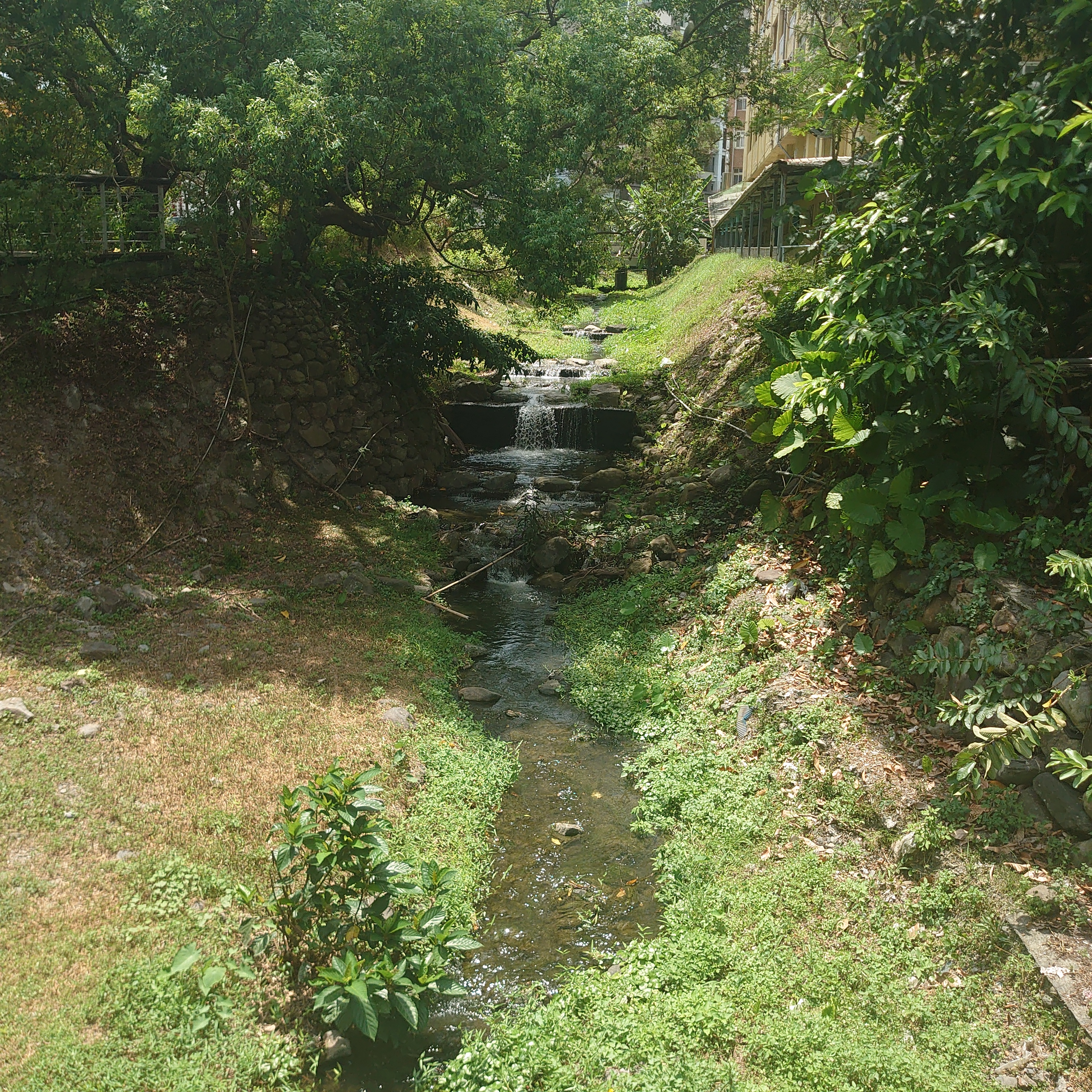 Yilan 封面