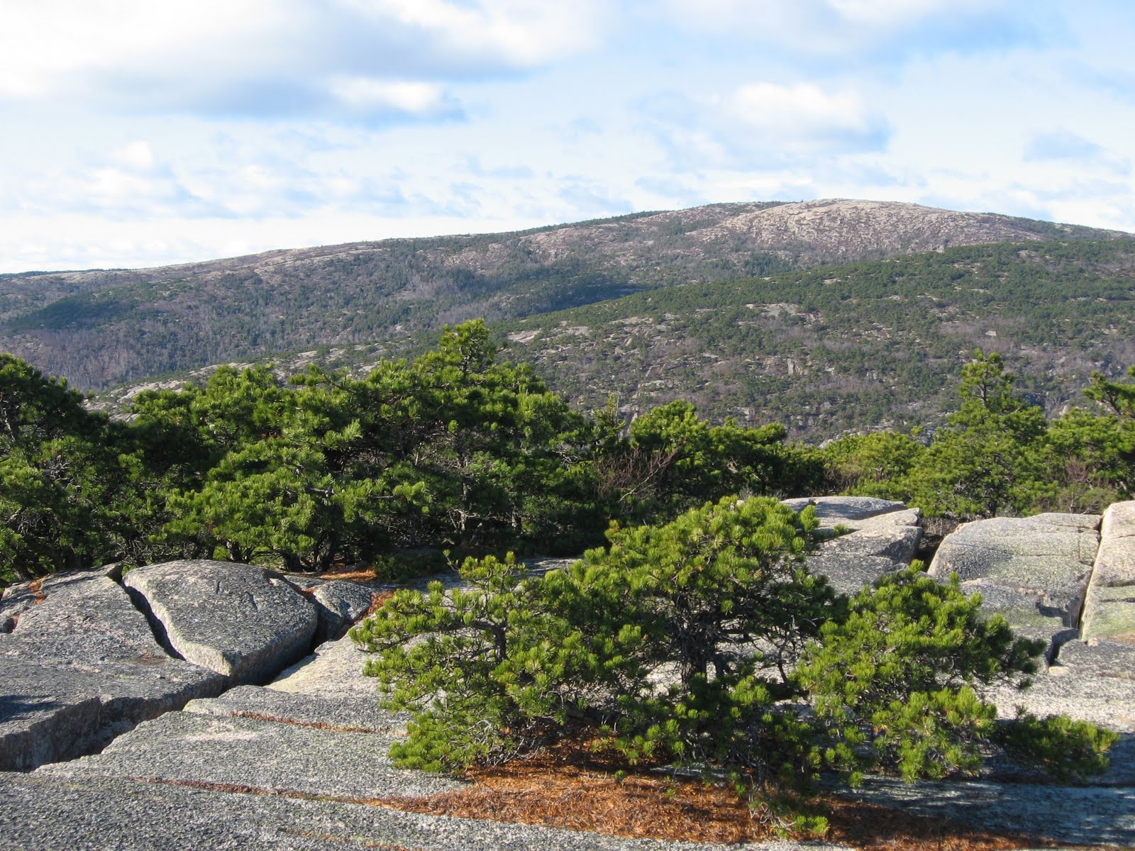 Acadia 封面