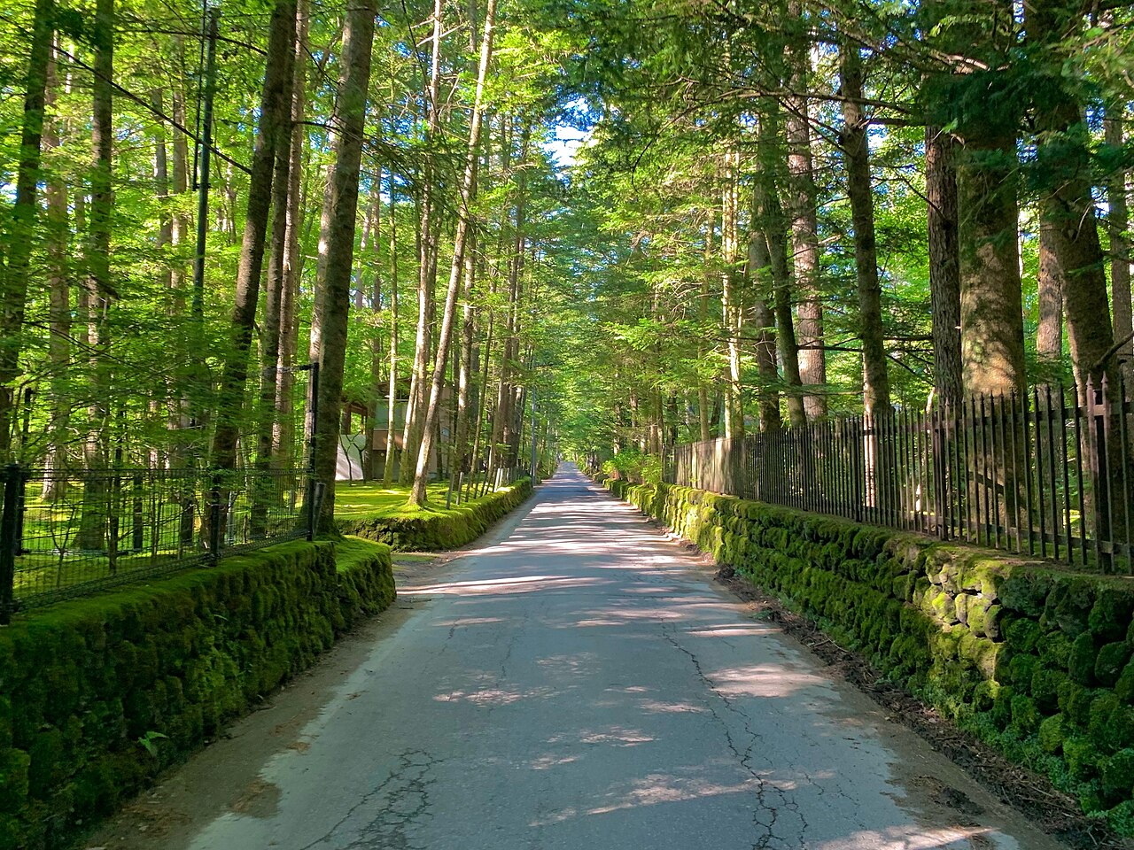 Karuizawa 封面