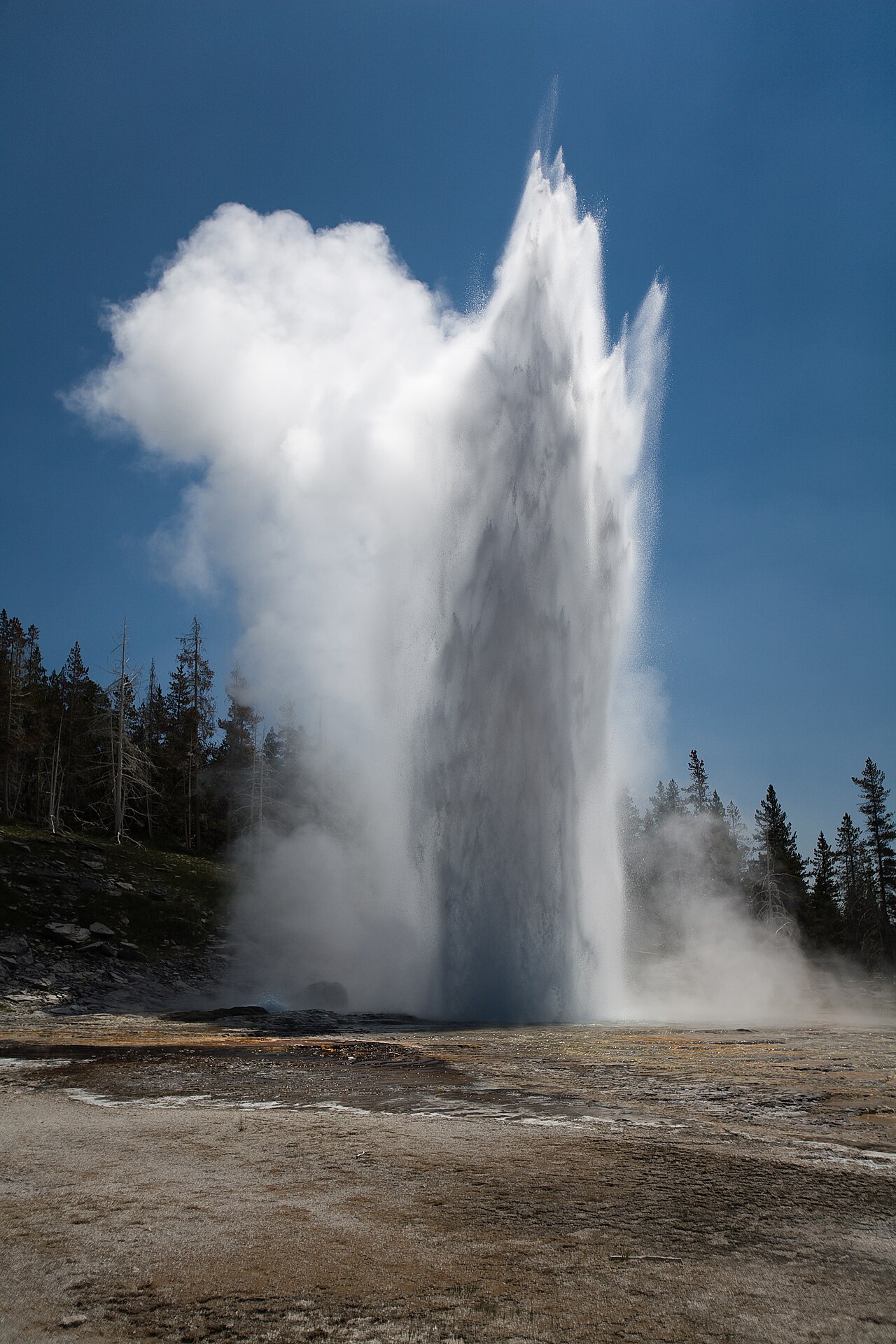 Yellowstone 封面