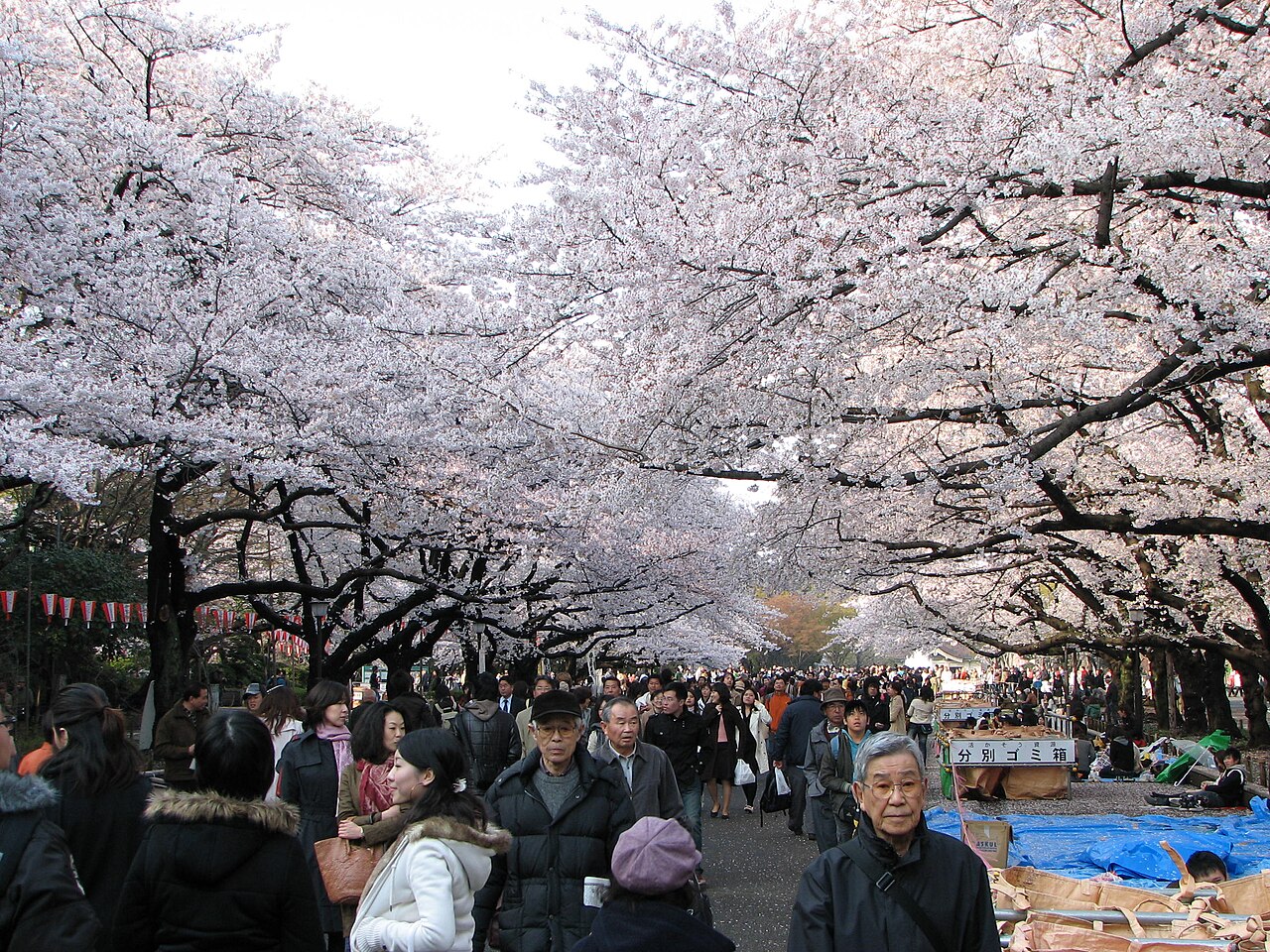 Tokyo 封面