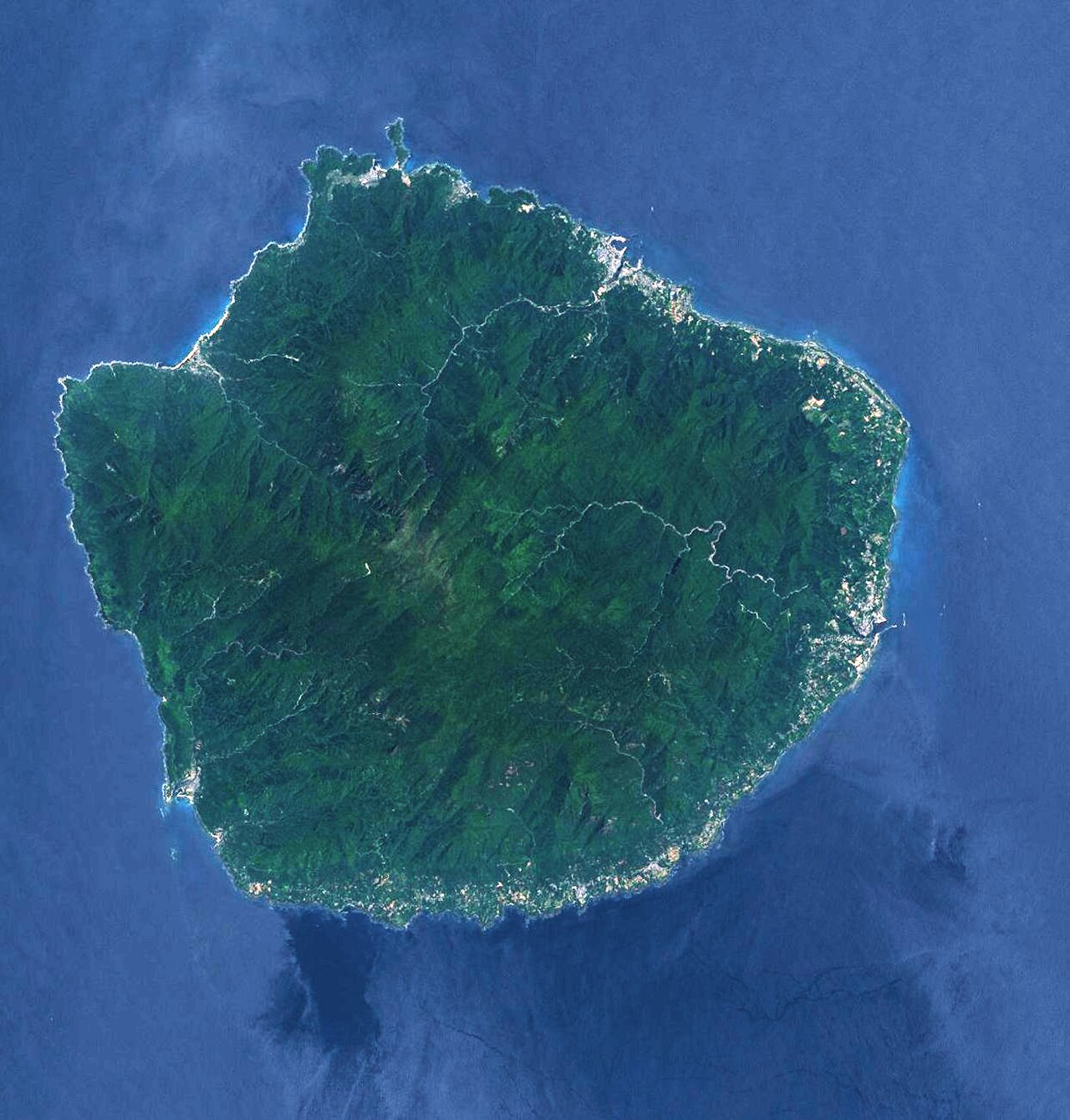 Yakushima 封面
