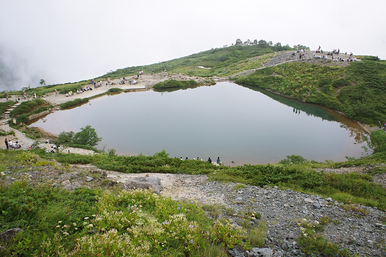 Hakuba 封面