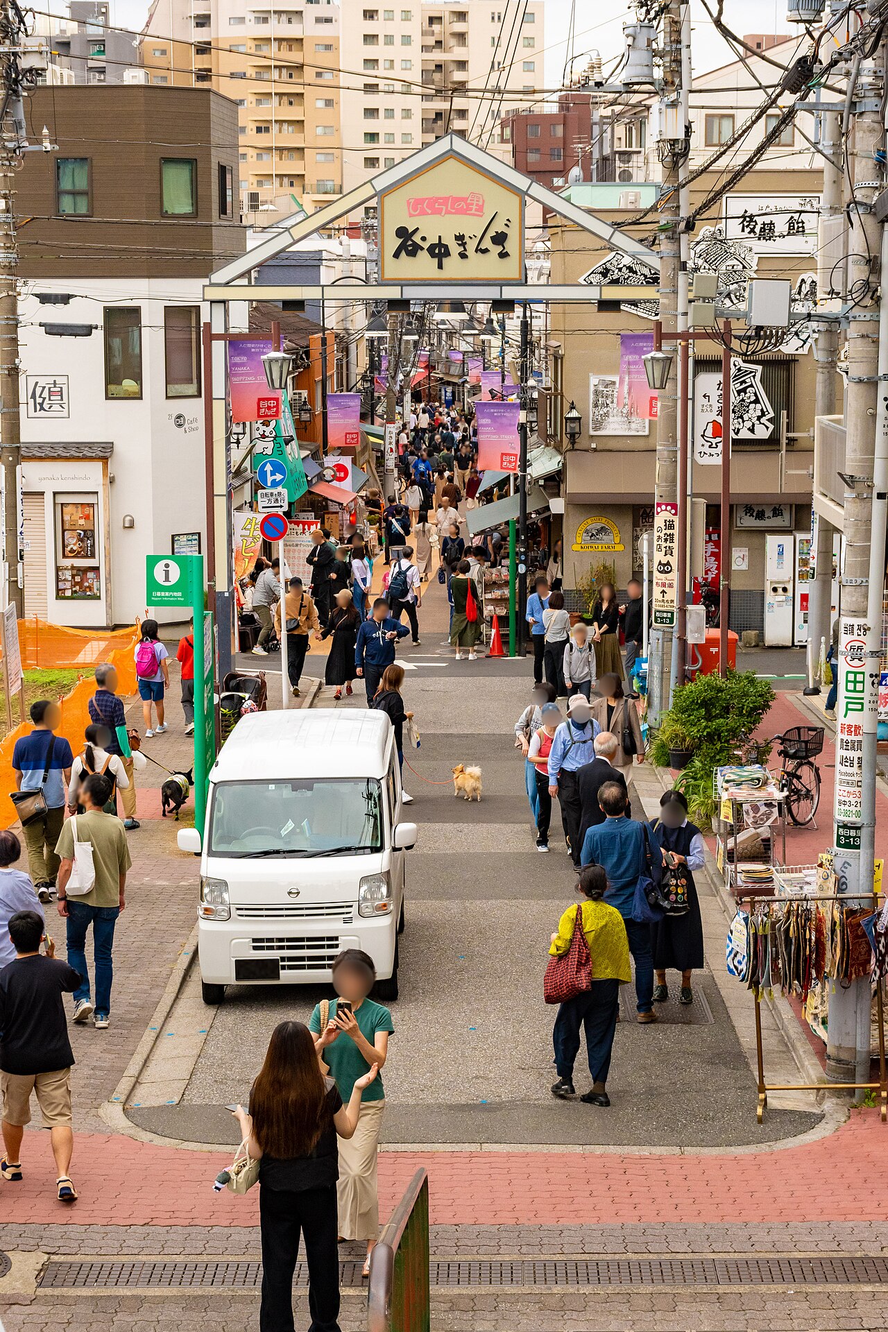 Solo Female Tokyo 封面