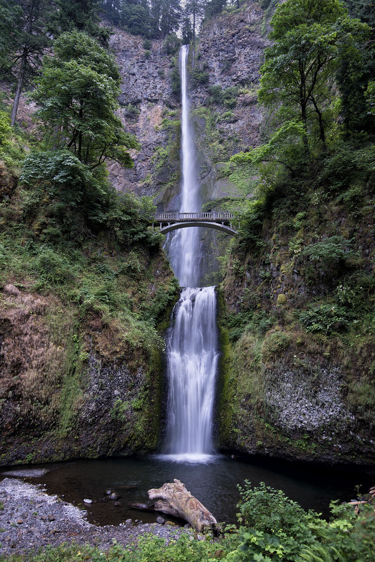 Portland 封面