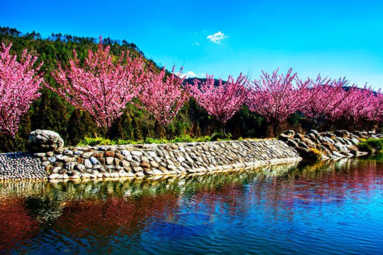 Wuling Farm 封面