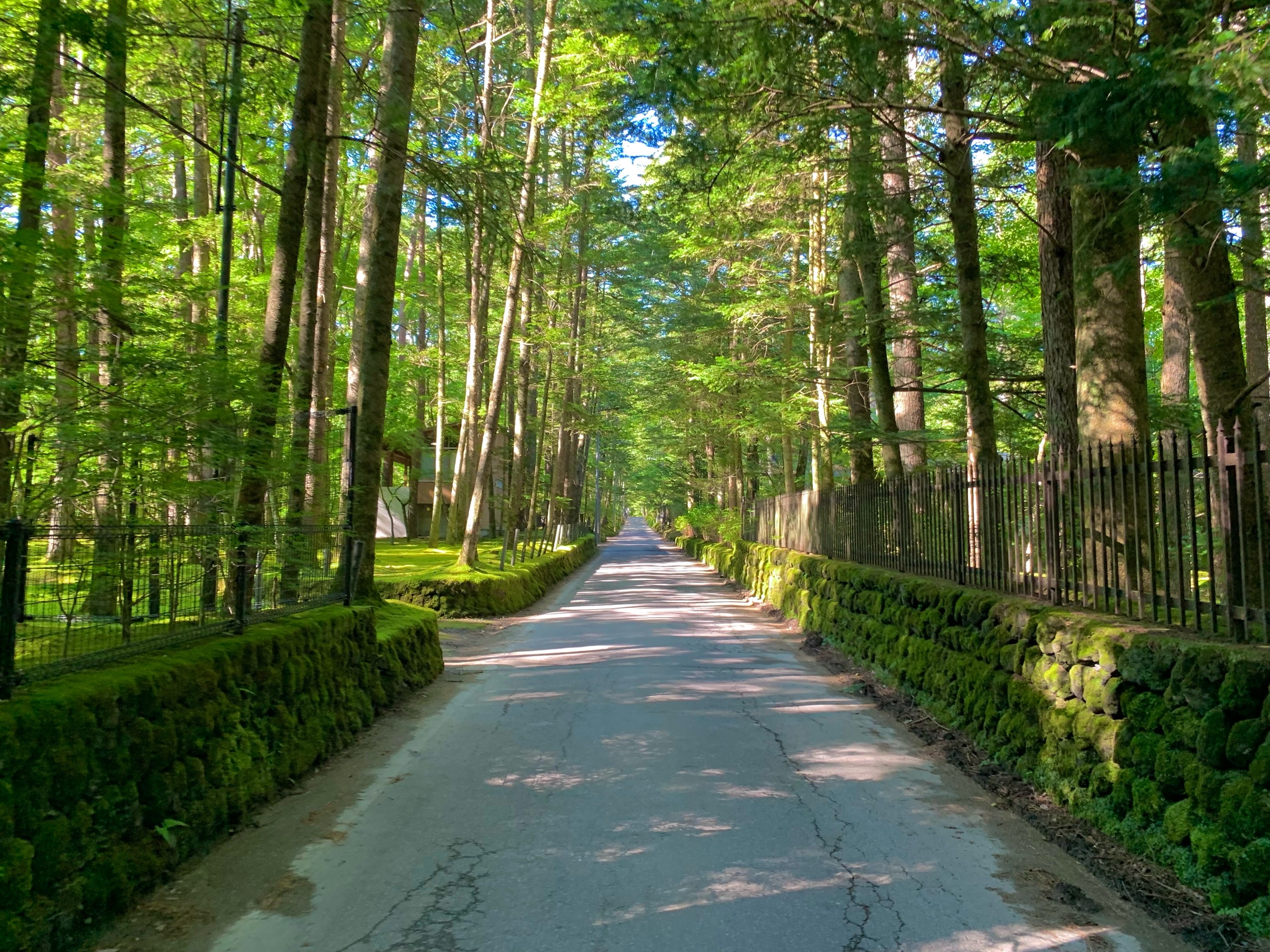 Karuizawa 封面