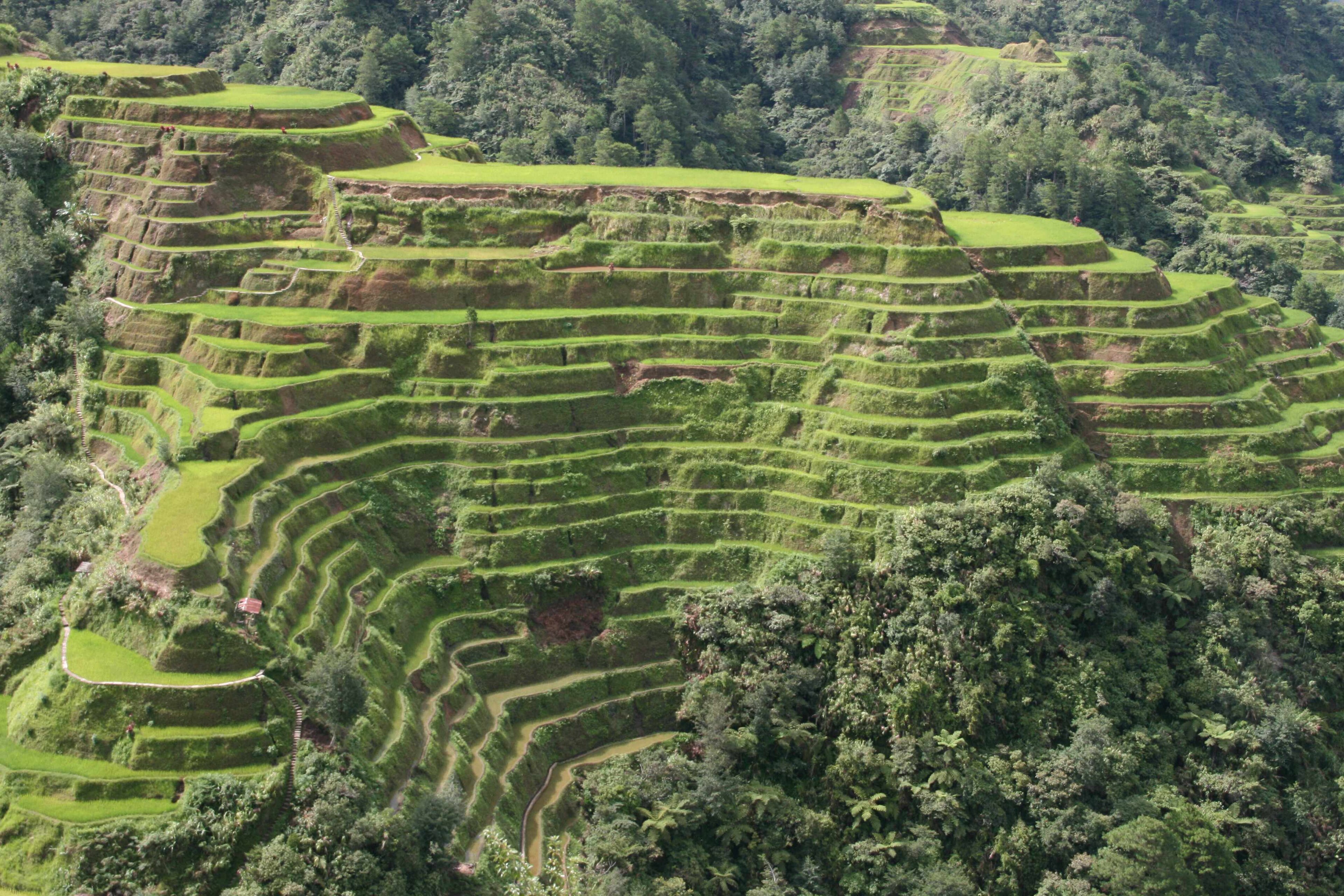 Banaue 封面