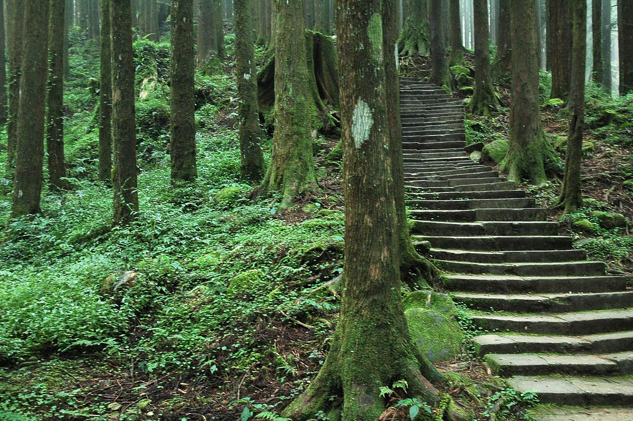 Alishan 封面