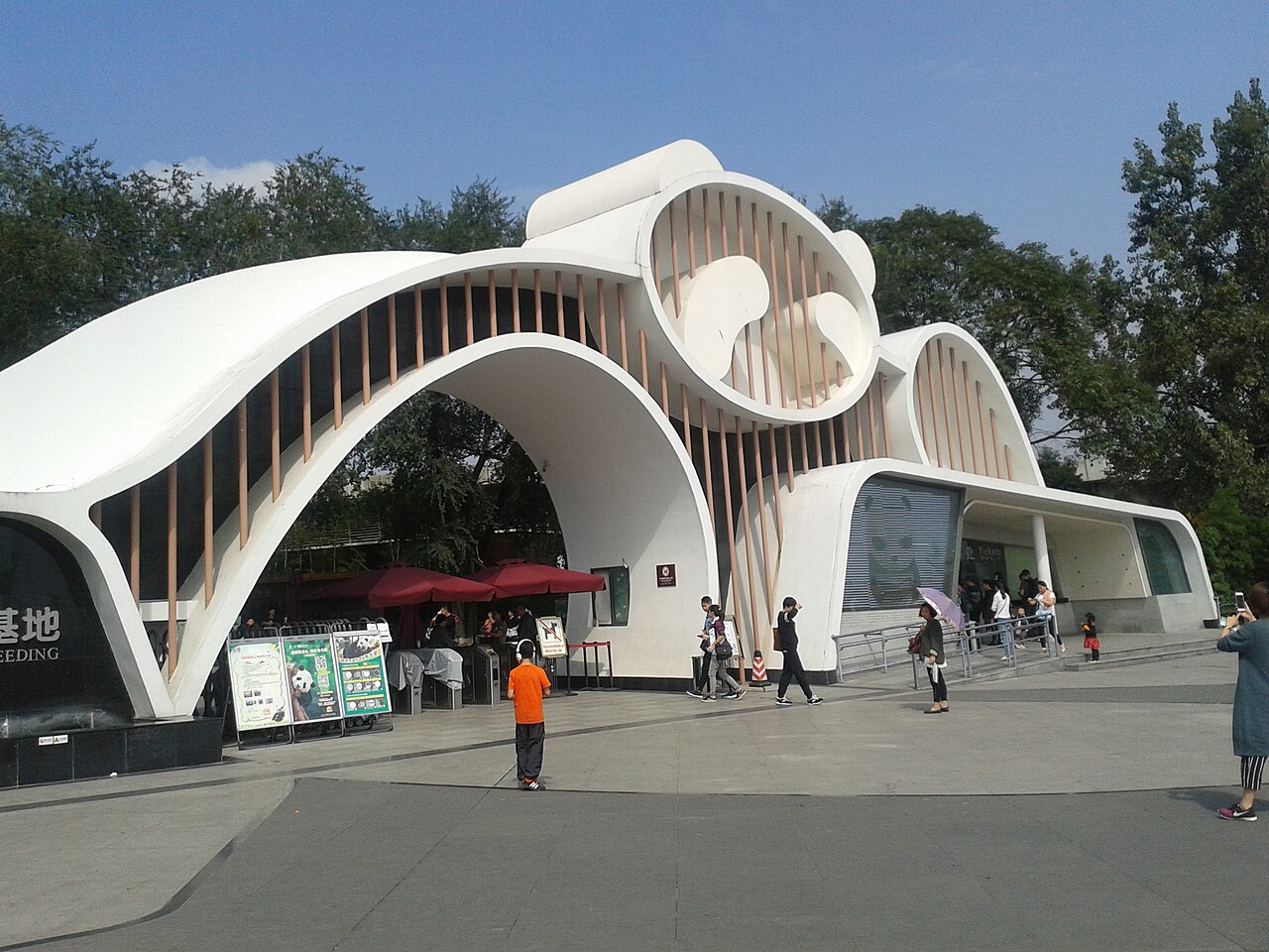 Chengdu 封面